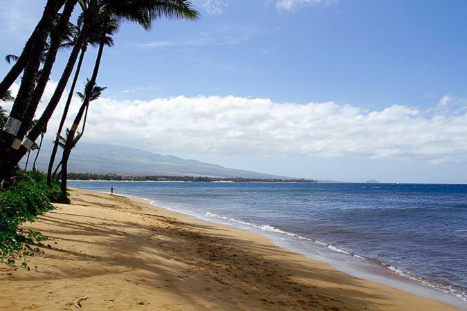 Kealia Resort 502 Kihei Dış mekan fotoğraf